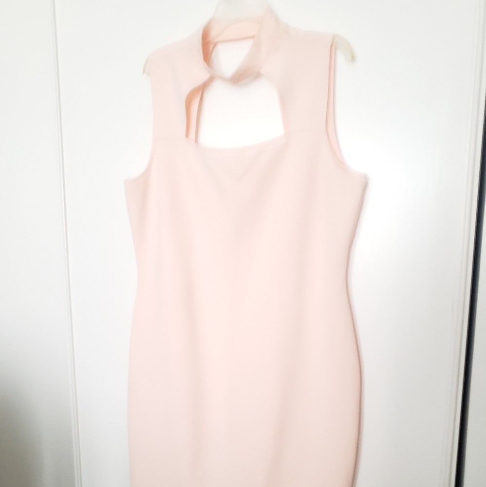 Pink Dress